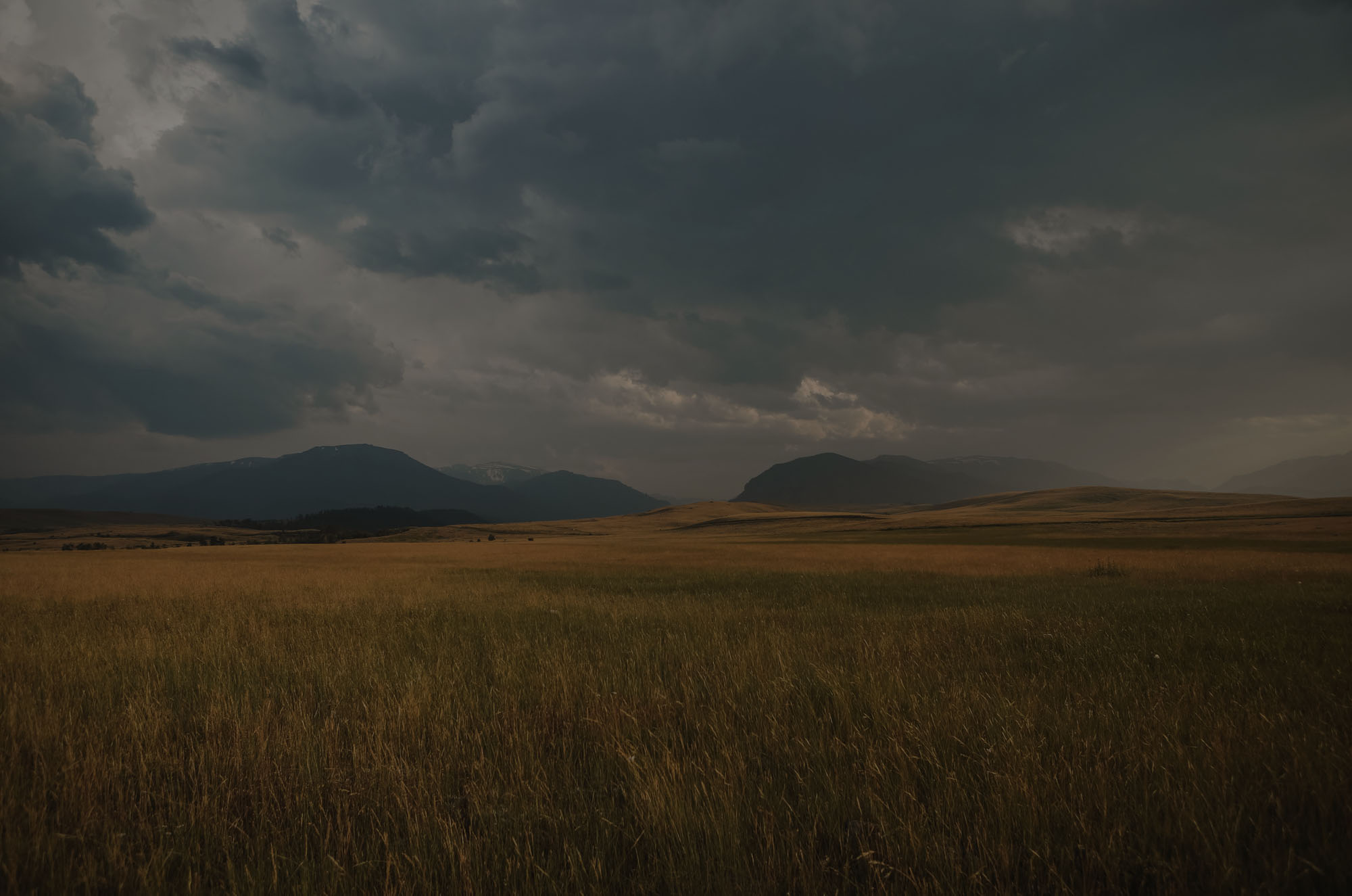 Large, hilly grassland at Variety National Park