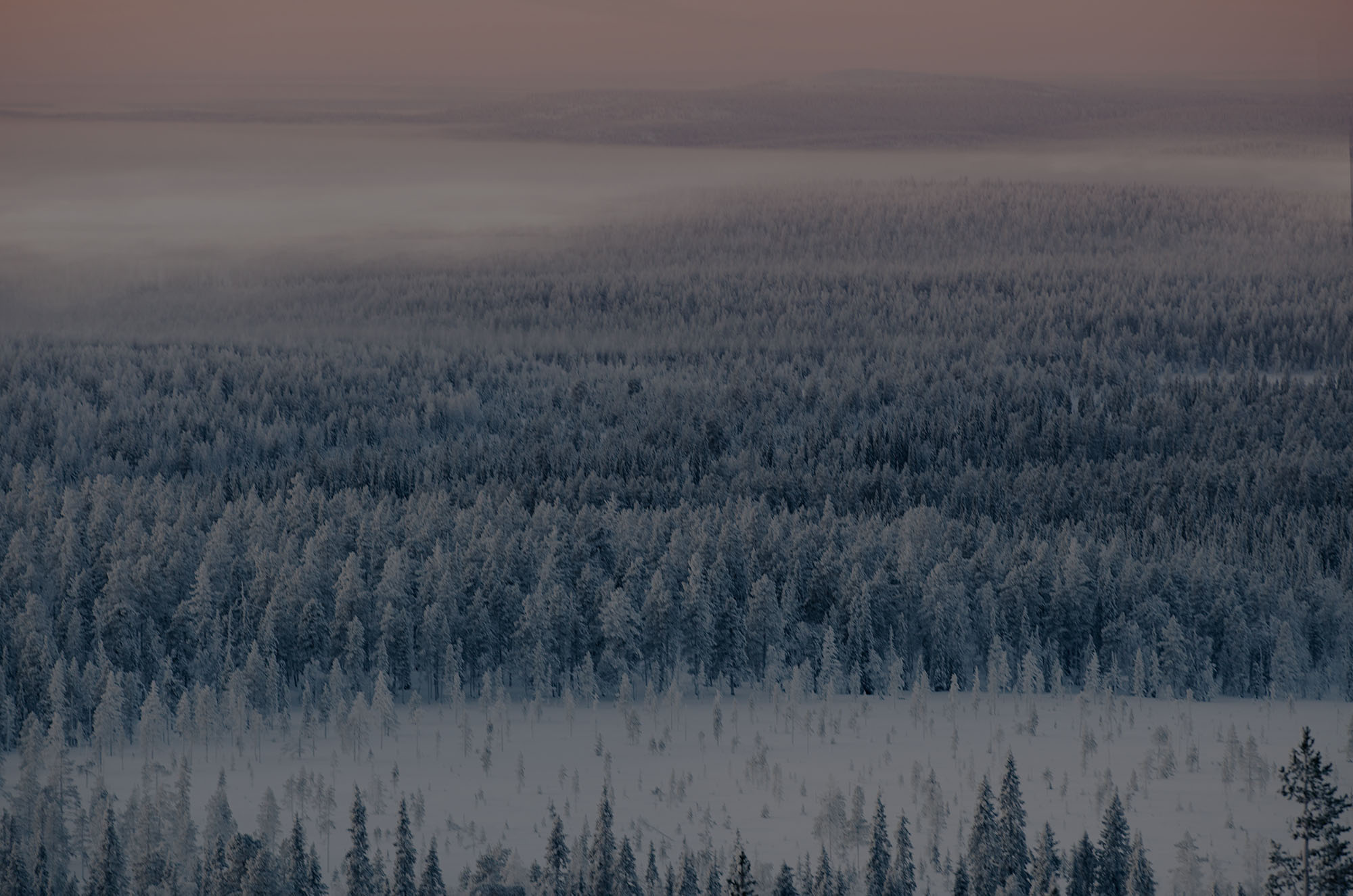 Snowy tundra located at northern most part of Variety National Park