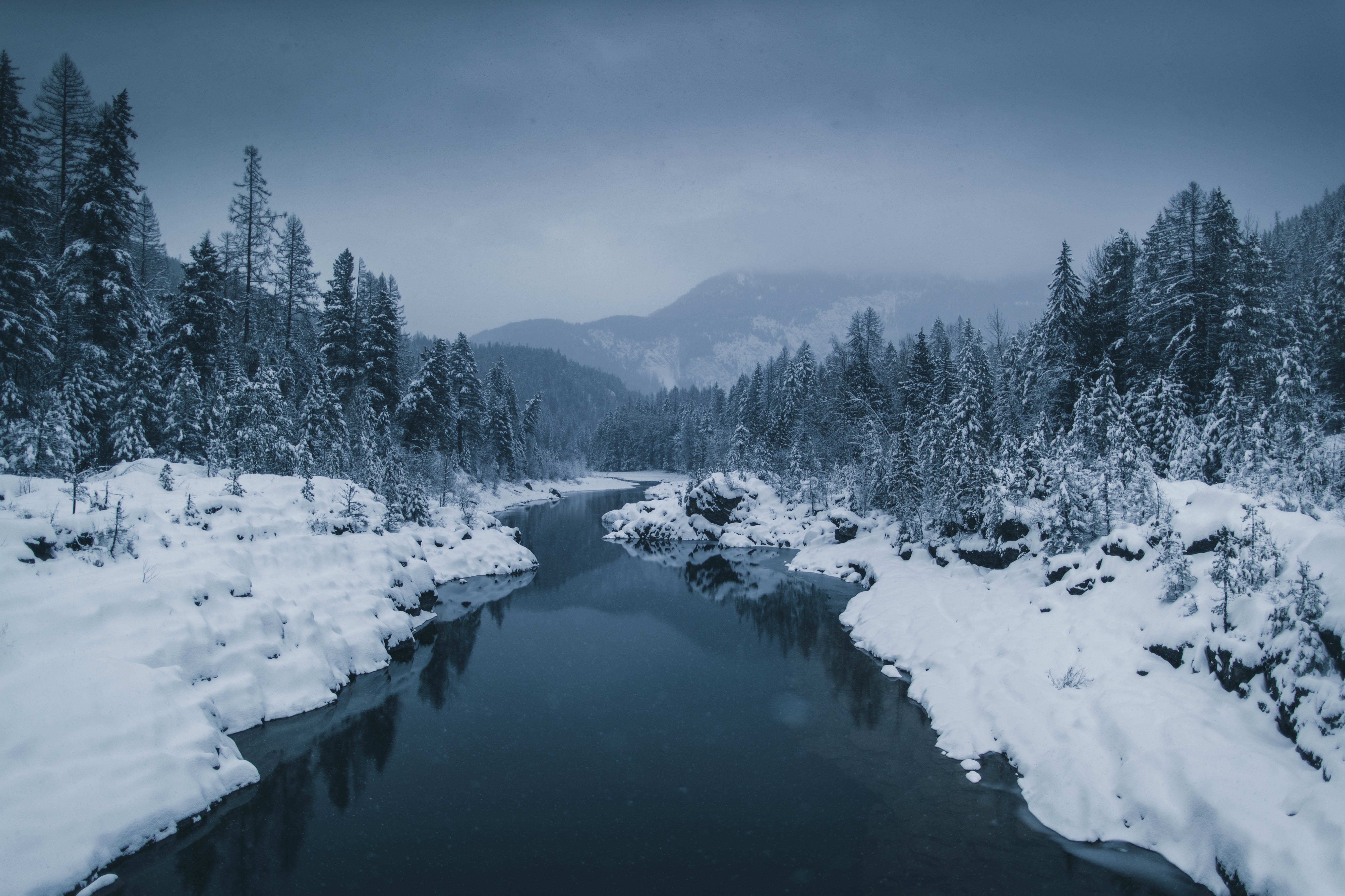 snowy tundra