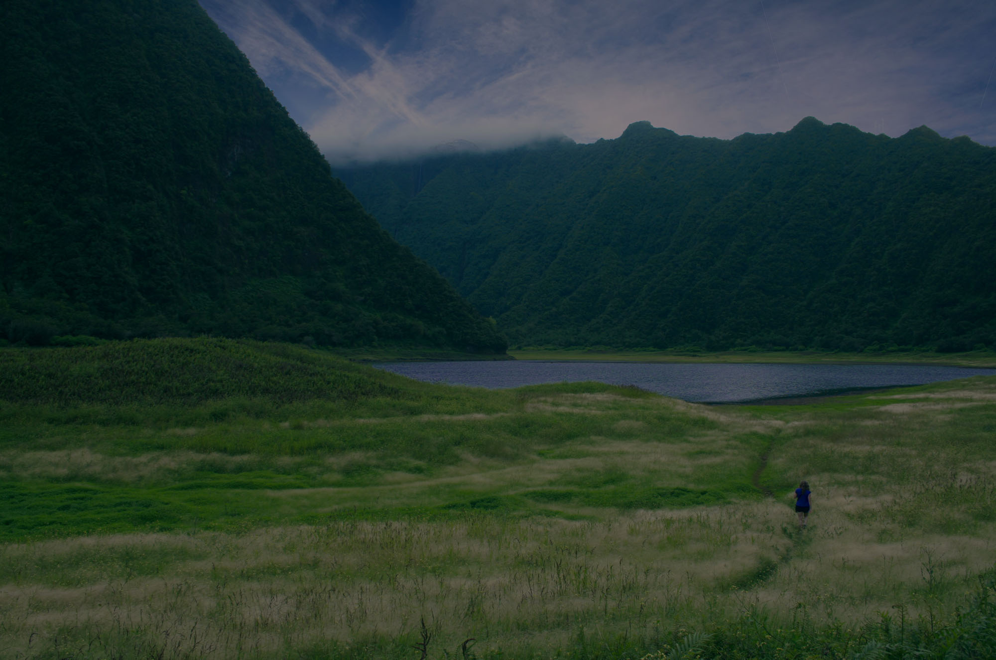 Lush green valley at Variety National Park